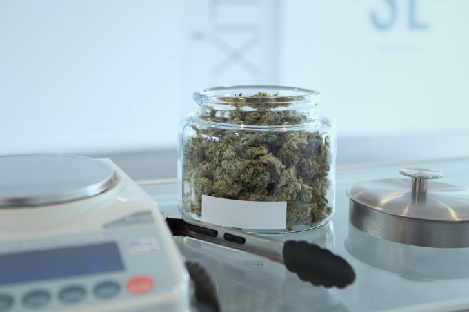 medical cannabis 